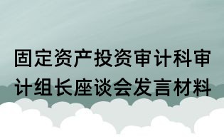 固定資產投資審計科審計組長座談會發(fā)言材料