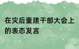 在災后重建干部大會上的表態發言