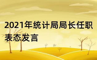 2021年統(tǒng)計(jì)局局長(zhǎng)任職表態(tài)發(fā)言