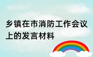 鄉鎮在市消防工作會議上的發言材料