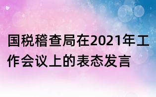 國稅稽查局在2021年工作會(huì)議上的表態(tài)發(fā)言