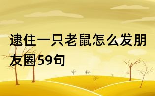 逮住一只老鼠怎么發(fā)朋友圈59句