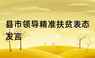 縣市領(lǐng)導(dǎo)精準(zhǔn)扶貧表態(tài)發(fā)言