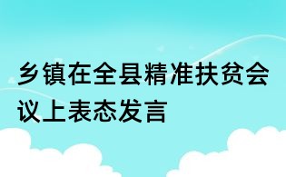 鄉(xiāng)鎮(zhèn)在全縣精準(zhǔn)扶貧會(huì)議上表態(tài)發(fā)言