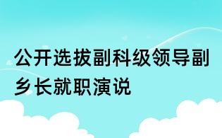 公開選拔副科級領導：副鄉長就職演說