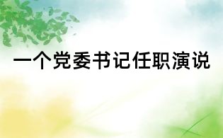 一個黨委書記任職演說