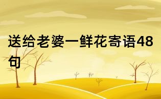 送給老婆一鮮花寄語48句