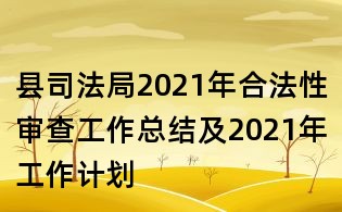 縣司法局2021年合法性審查工作總結(jié)及2021年工作計(jì)劃