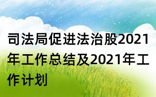 司法局促進(jìn)法治股2021年工作總結(jié)及2021年工作計(jì)劃