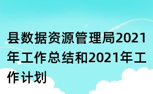 縣數據資源管理局2021年工作總結和2021年工作計劃