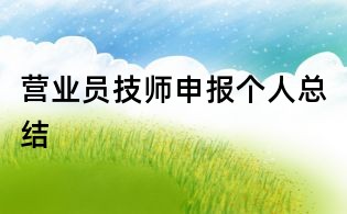 營業員技師申報個人總結