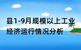 縣1-9月規模以上工業經濟運行情況分析