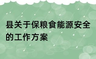縣關(guān)于保糧食能源安全的工作方案