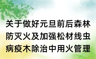 關于做好元旦前后森林防滅火及加強松材線蟲病疫木除治中用火管理