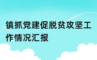 鎮(zhèn)抓黨建促脫貧攻堅(jiān)工作情況匯報(bào)