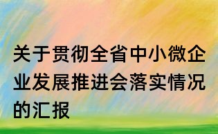 關于貫徹全省中小微企業發展推進會落實情況的匯報