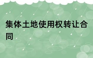 集體土地使用權轉讓合同