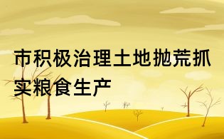 市積極治理土地拋荒抓實(shí)糧食生產(chǎn)