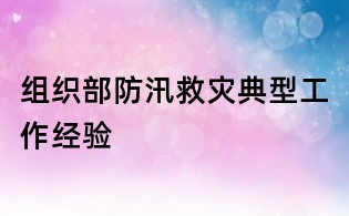 組織部防汛救災典型工作經驗