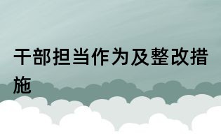干部擔(dān)當(dāng)作為及整改措施