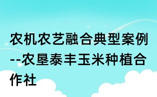 農(nóng)機農(nóng)藝融合典型案例--農(nóng)墾泰豐玉米種植合作社