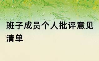 班子成員個人批評意見清單