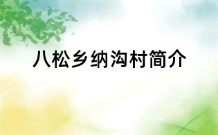 八松鄉納溝村簡介