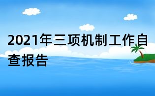 2021年三項機(jī)制工作自查報告