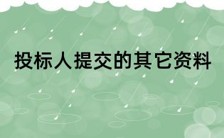 投標人提交的其它資料