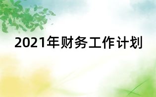 2021年財務工作計劃