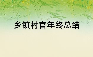 鄉鎮村官年終總結