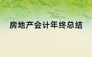 房地產(chǎn)會(huì)計(jì)年終總結(jié)