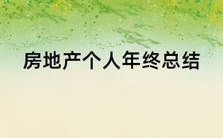 房地產個人年終總結