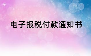 電子報(bào)稅付款通知書