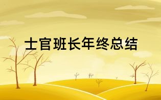士官班長(zhǎng)年終總結(jié)