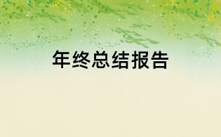 年終總結報告