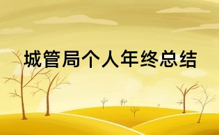 城管局個人年終總結