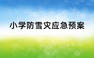 小學防雪災應急預案