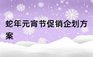 蛇年元宵節促銷企劃方案