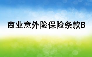 商業意外險保險條款B