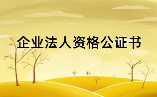 企業法人資格公證書