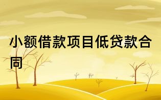 小額借款項(xiàng)目低貸款合同