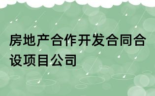 房地產合作開發合同合設項目公司
