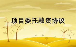 項(xiàng)目委托融資協(xié)議