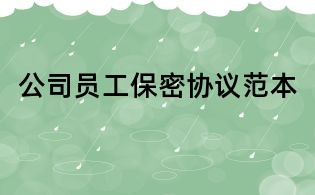 公司員工保密協(xié)議范本