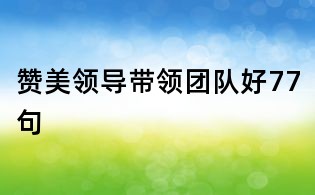 贊美領導帶領團隊好77句