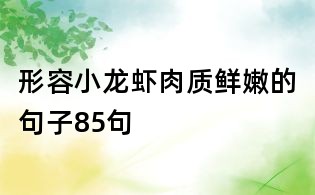 形容小龍蝦肉質(zhì)鮮嫩的句子85句