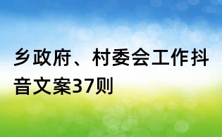 鄉(xiāng)政府、村委會工作抖音文案37則