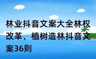 林業抖音文案大全:林權改革、植樹造林抖音文案36則