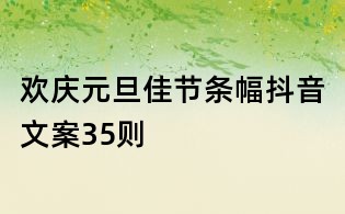 歡慶元旦佳節條幅抖音文案35則